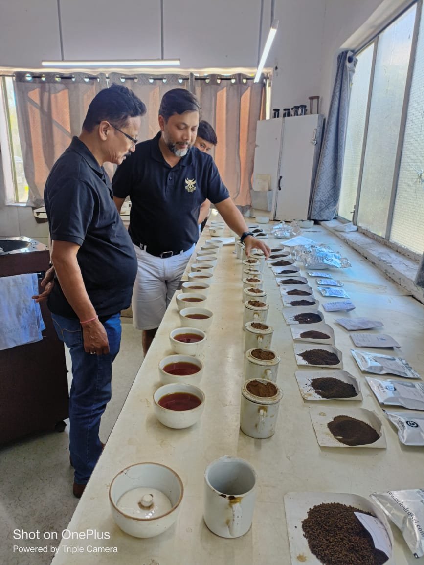 Organic Assam Tea Variety