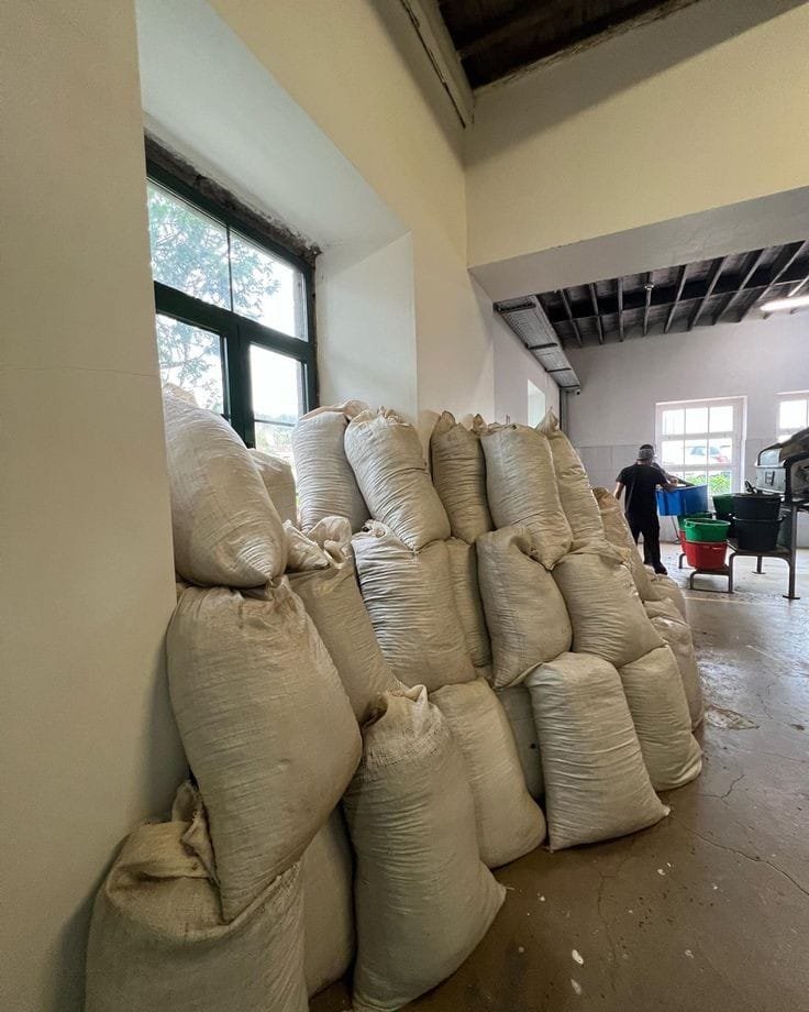 Organic Assam Tea Store  