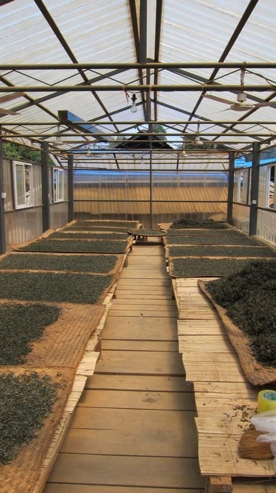 Dry Organic Assam Tea